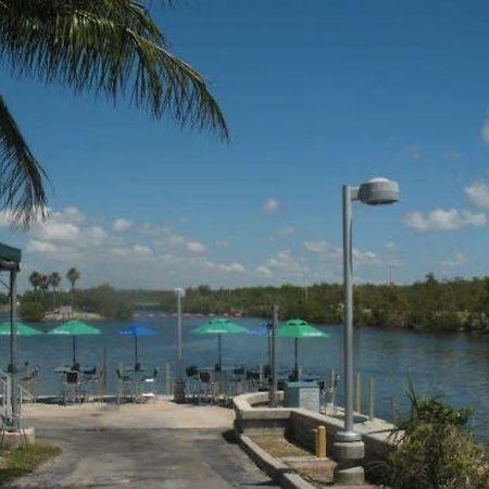 Miami Bed And Breakfast Country Walk Exterior foto